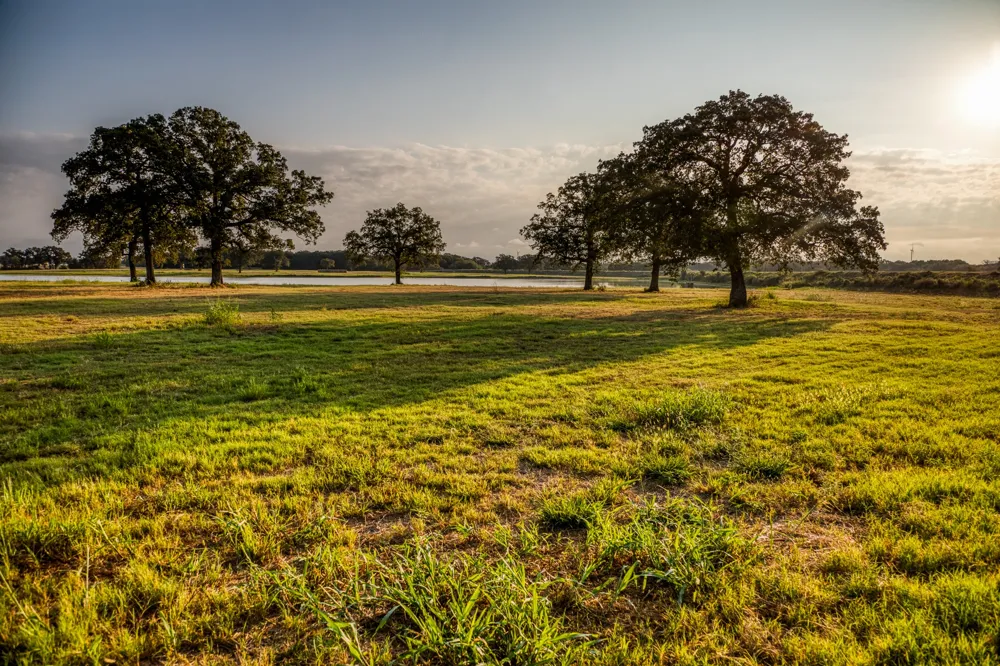 3096 Happy Swaner Lane Axtell, TX 76624