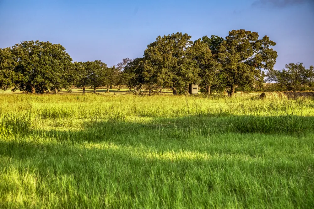3096 Happy Swaner Lane Axtell, TX 76624
