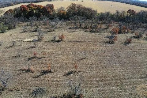 452 De Leon, TX 76444