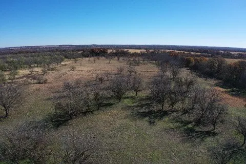 452 De Leon, TX 76444