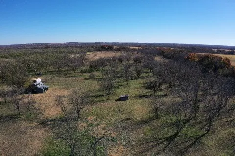 452 De Leon, TX 76444