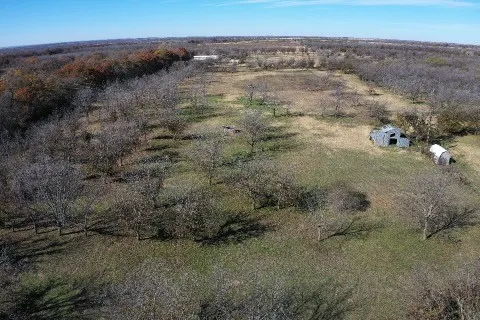 452 De Leon, TX 76444
