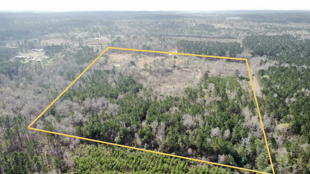 229 Padgett Road Benton, LA 71006