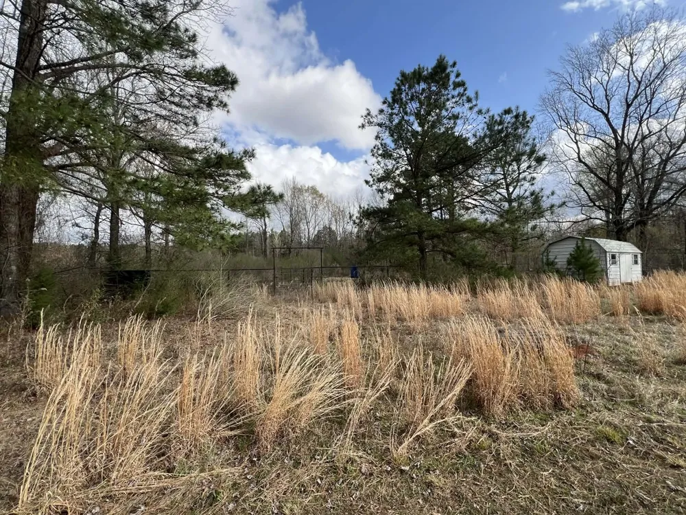 229 Padgett Road Benton, LA 71006