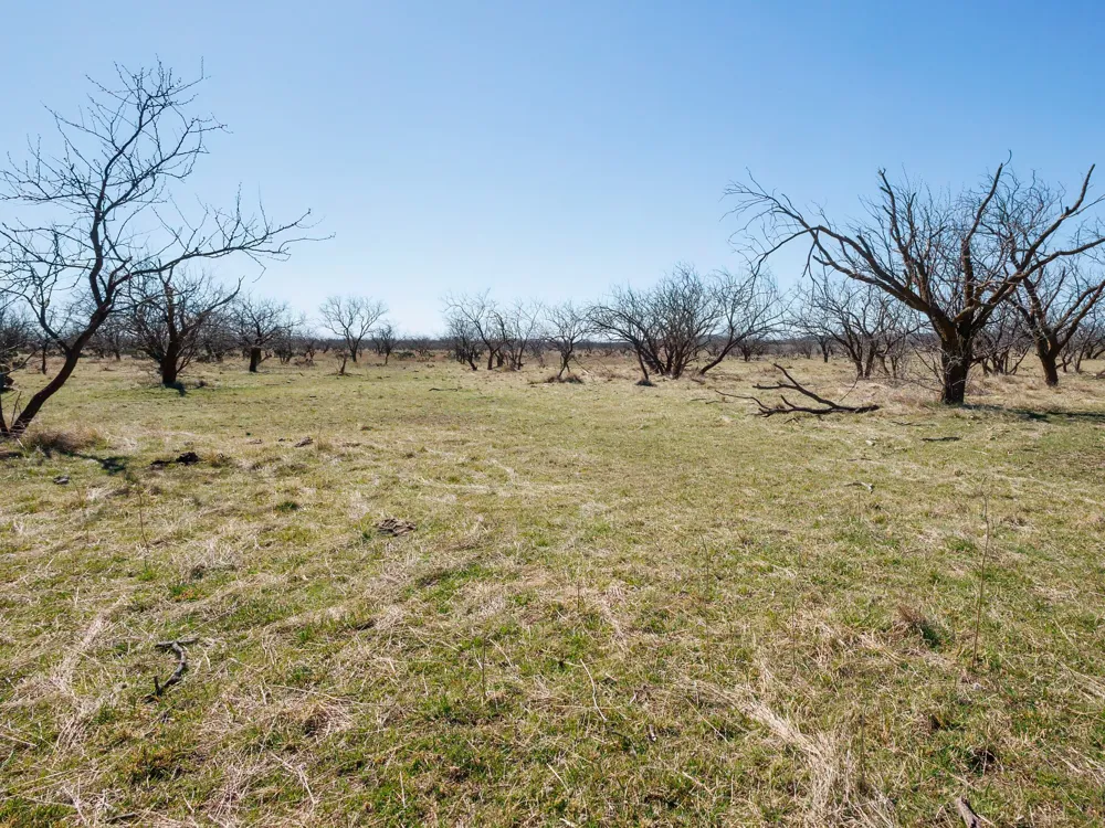 821 P.R. 4901 Goldsboro, TX 79519