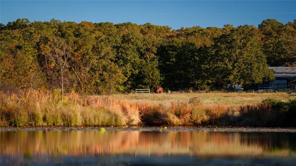 1210 County Road 232 Collinsville, TX 76233