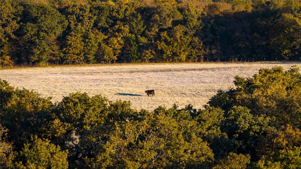 1210 County Road 232 Collinsville, TX 76233