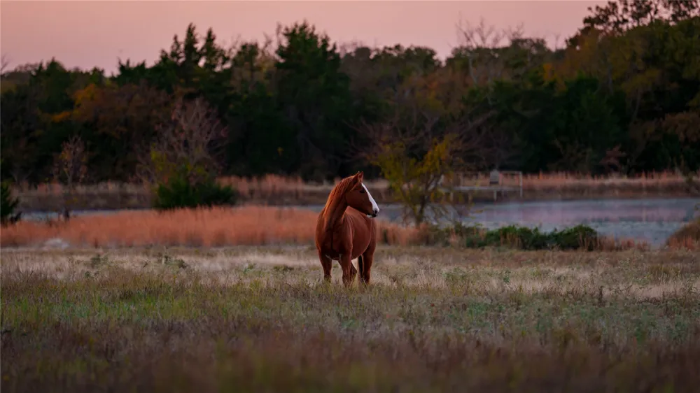 1210 County Road 232 Collinsville, TX 76233