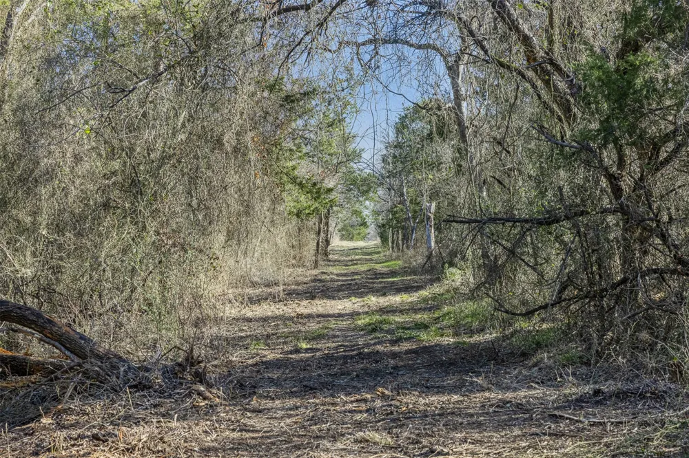 County Road 386 Groesbeck, TX 76642