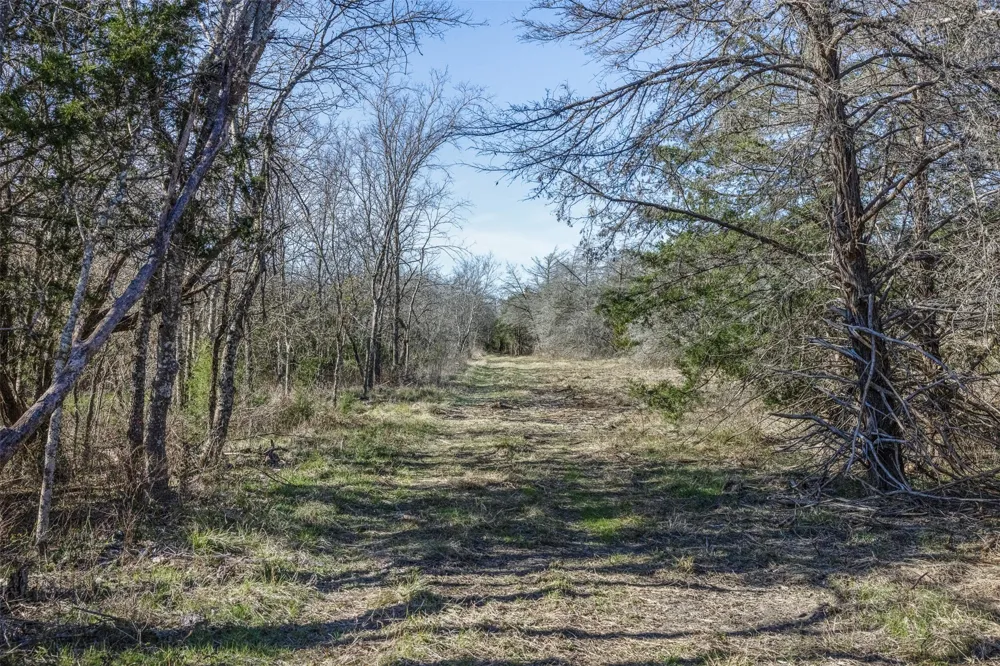 County Road 386 Groesbeck, TX 76642