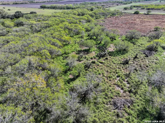 0 Fm 666 At County Road 1168 Mathis, TX 78368