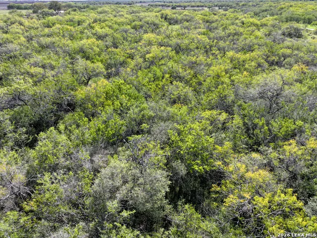 0 Fm 666 At County Road 1168 Mathis, TX 78368