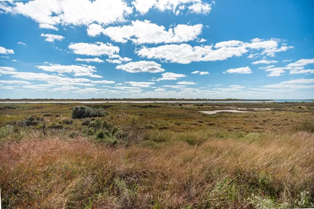 110 Coastal Springs Port O Connor, TX 77982