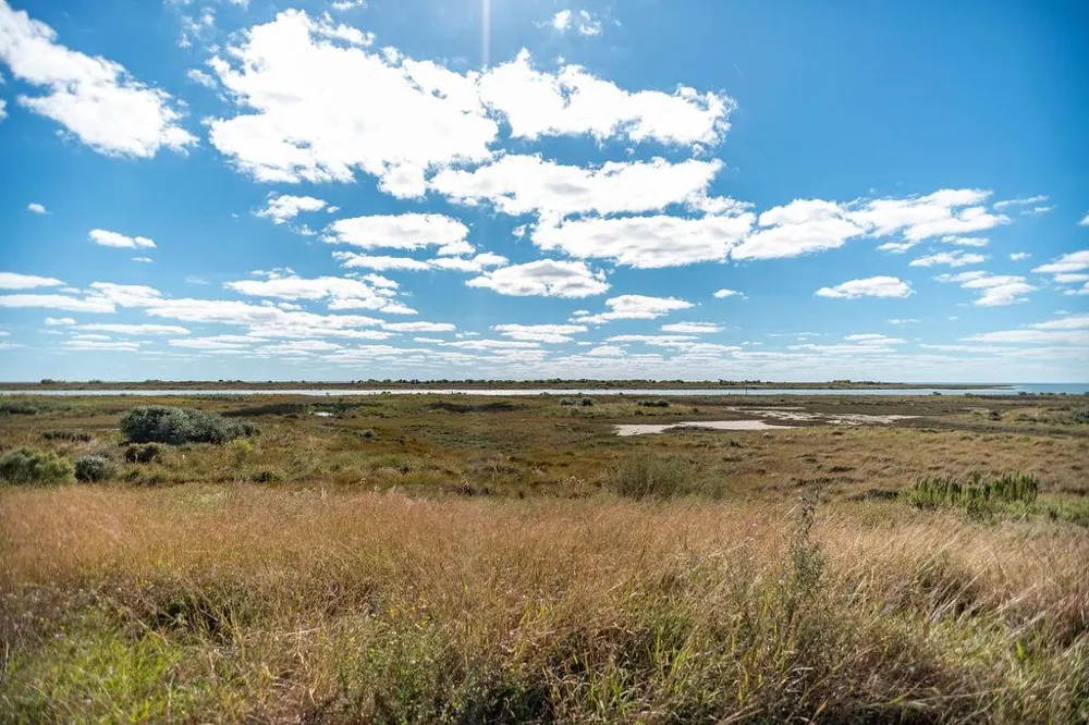 110 Coastal Springs Port O Connor, TX 77982