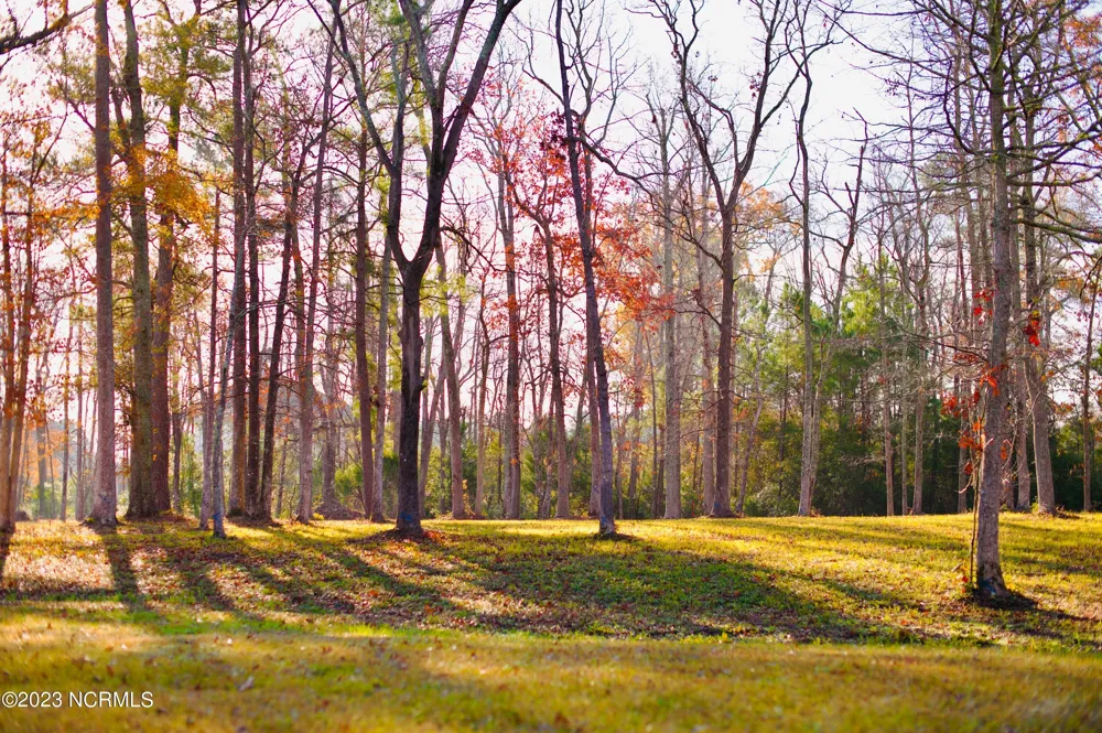 161 Sunshine Drive Arapahoe, NC 28510