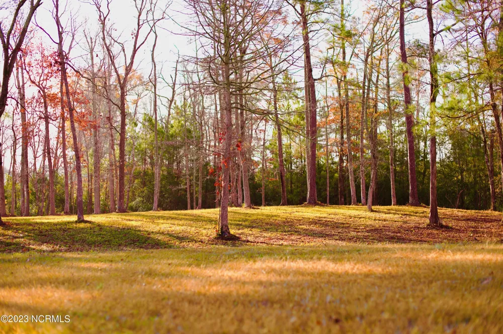 161 Sunshine Drive Arapahoe, NC 28510
