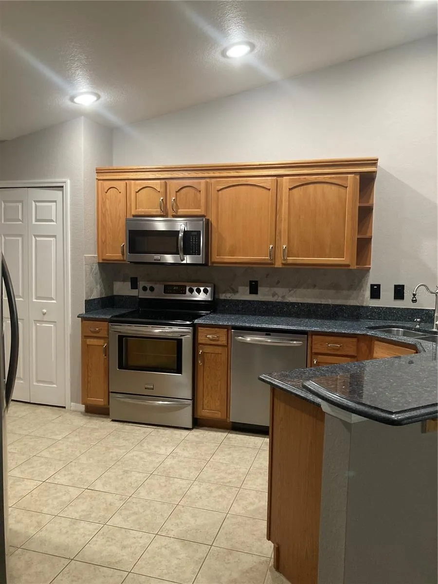 1819 HAMMOCKS AVENUE #1819 Lutz, FL 33549