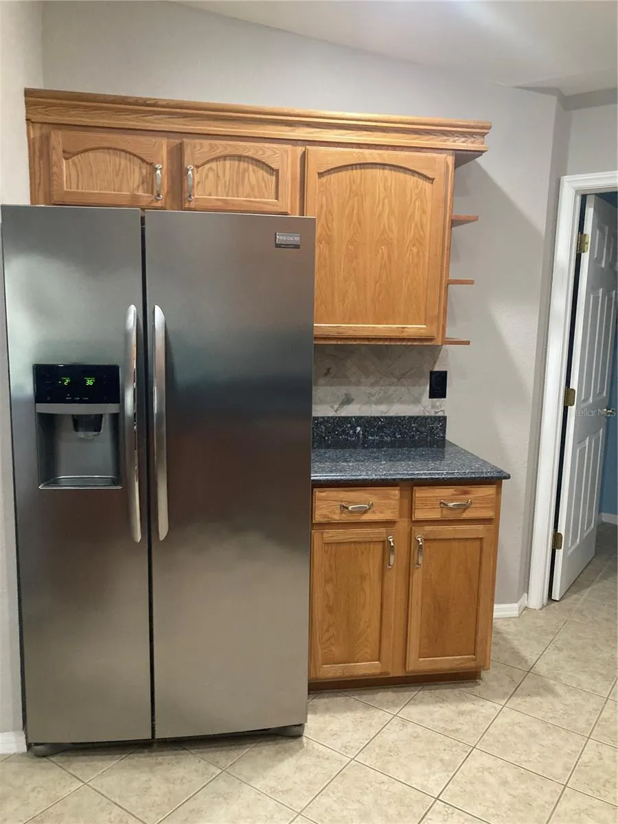 1819 HAMMOCKS AVENUE #1819 Lutz, FL 33549