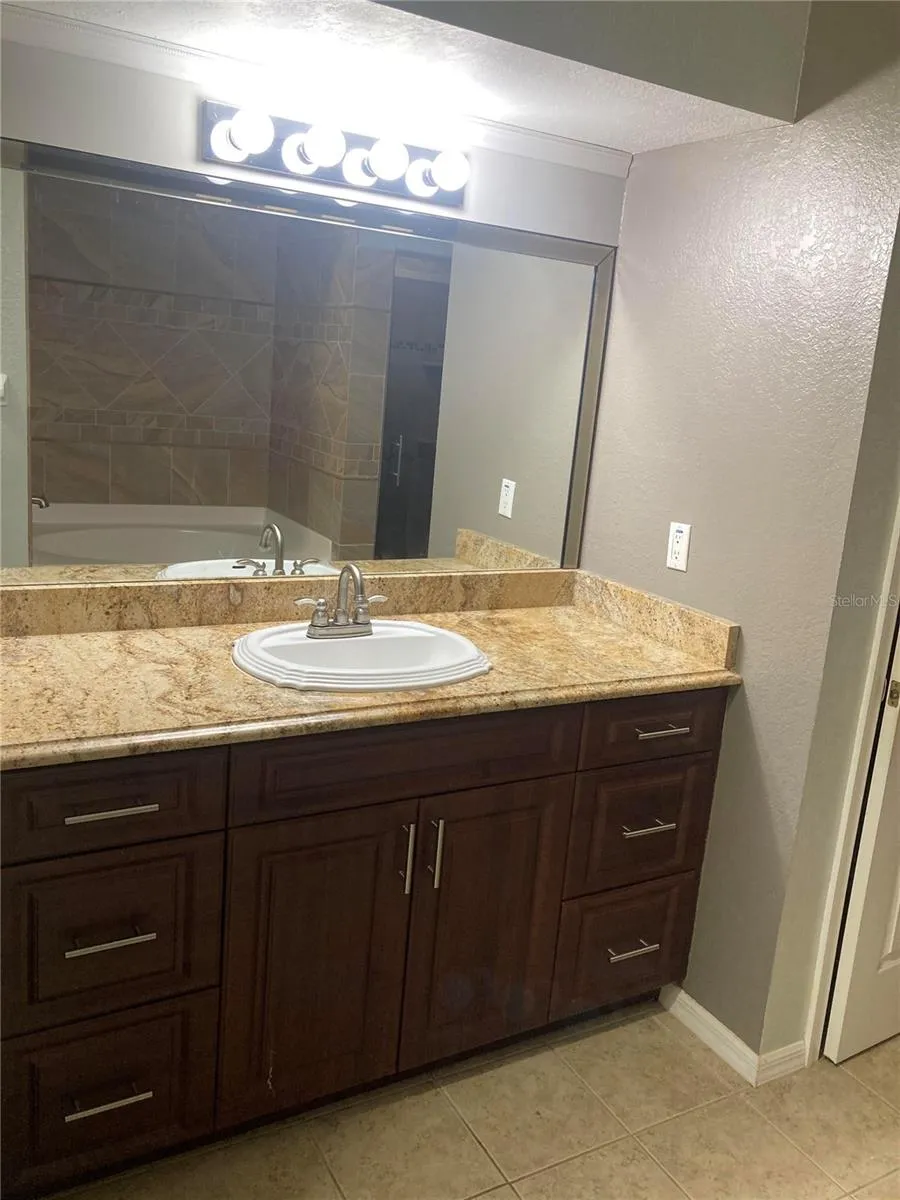 1819 HAMMOCKS AVENUE #1819 Lutz, FL 33549