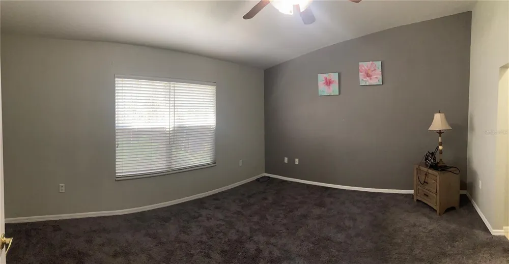 1819 HAMMOCKS AVENUE #1819 Lutz, FL 33549