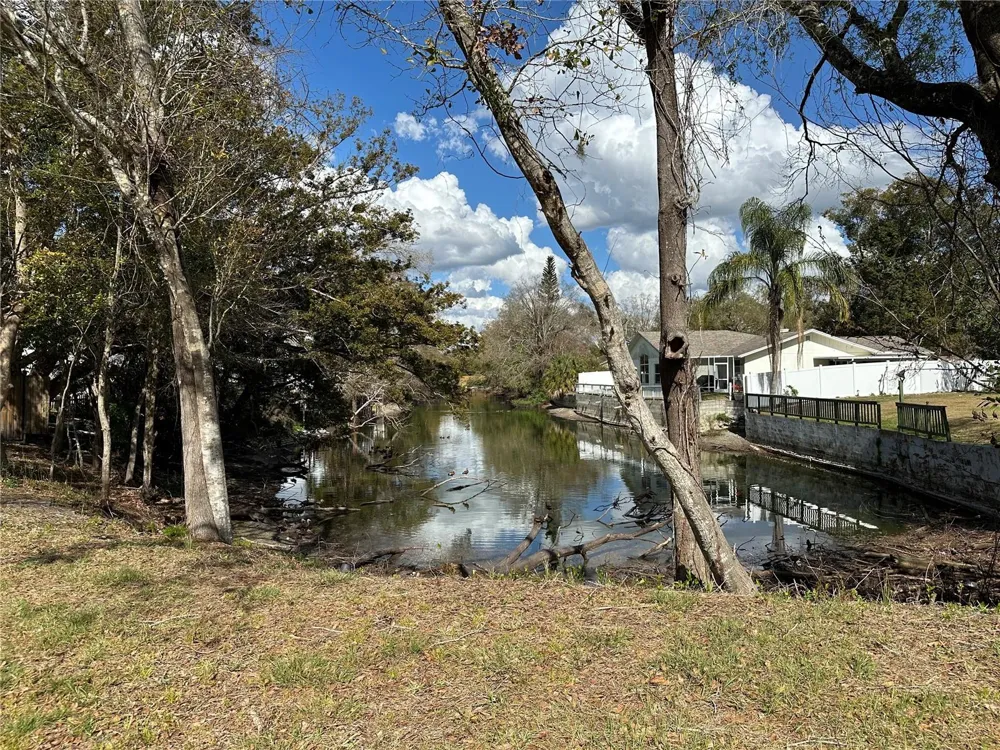 SUNRISE DRIVE Lutz, FL 33549