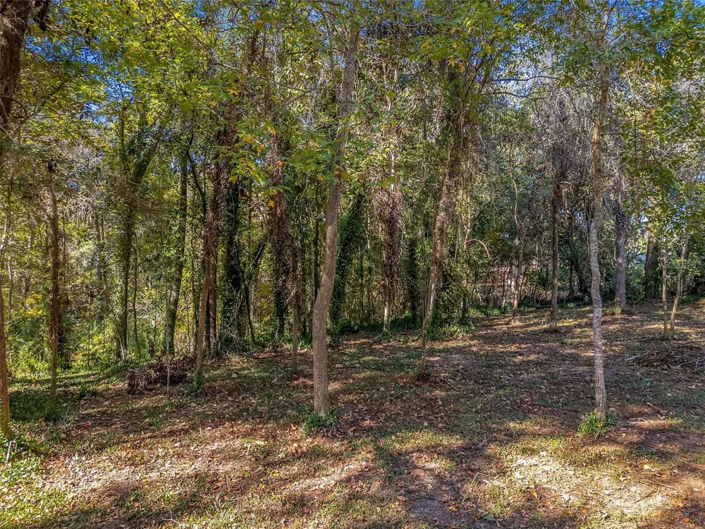 0 GLENNIS COURT Tallahassee, FL 32303