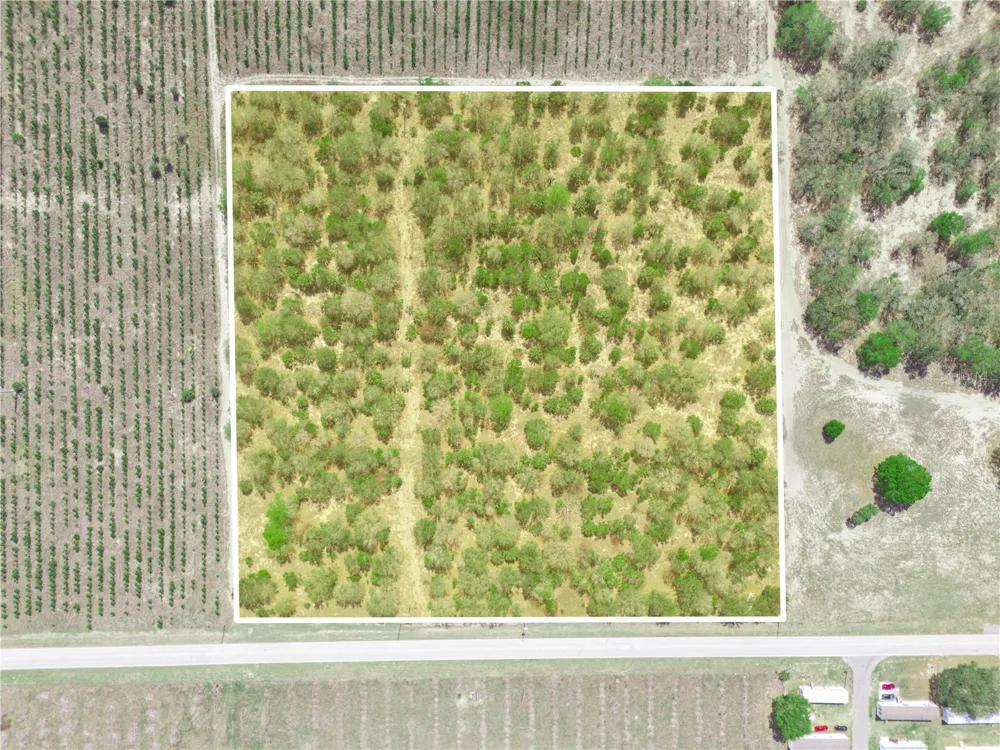 FRIEDLANDER ROAD Babson Park, FL 33827