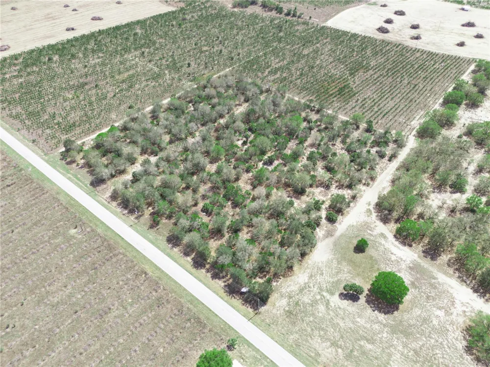 FRIEDLANDER ROAD Babson Park, FL 33827