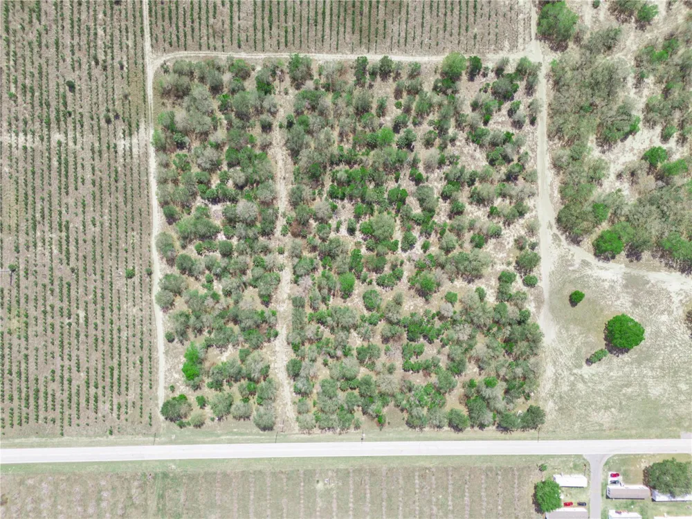 FRIEDLANDER ROAD Babson Park, FL 33827