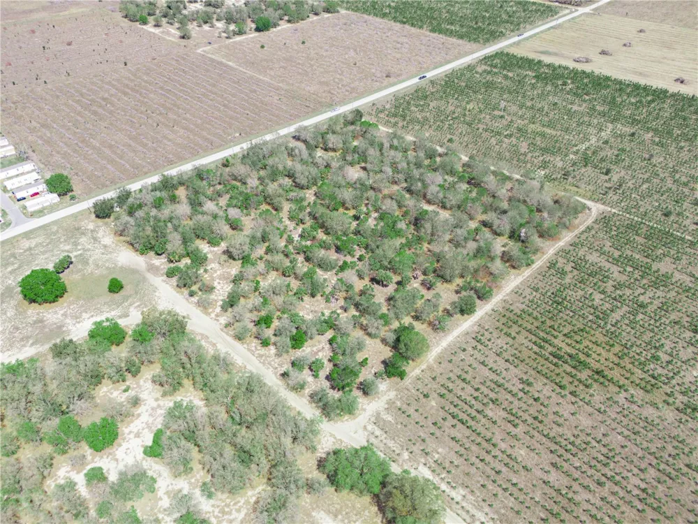 FRIEDLANDER ROAD Babson Park, FL 33827