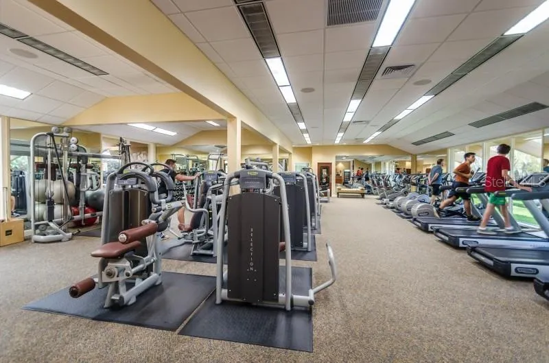 36750 US HIGHWAY 19 #09208 Palm Harbor, FL 34684