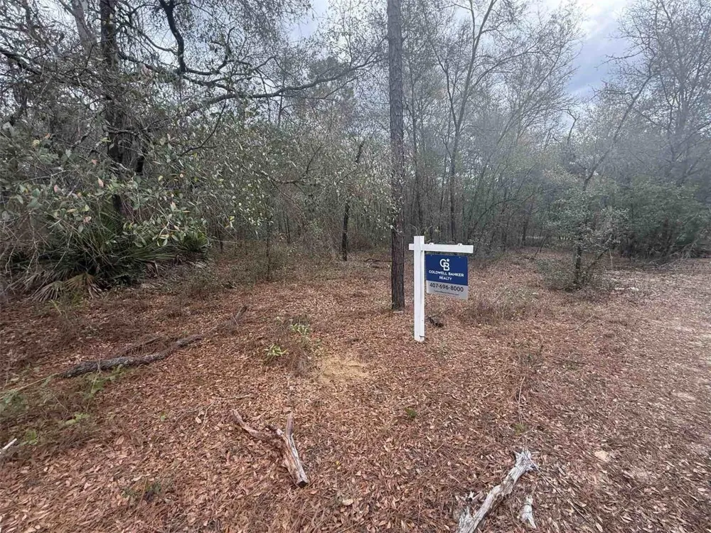 0 SE 3RD STREET STREET Interlachen, FL 32148