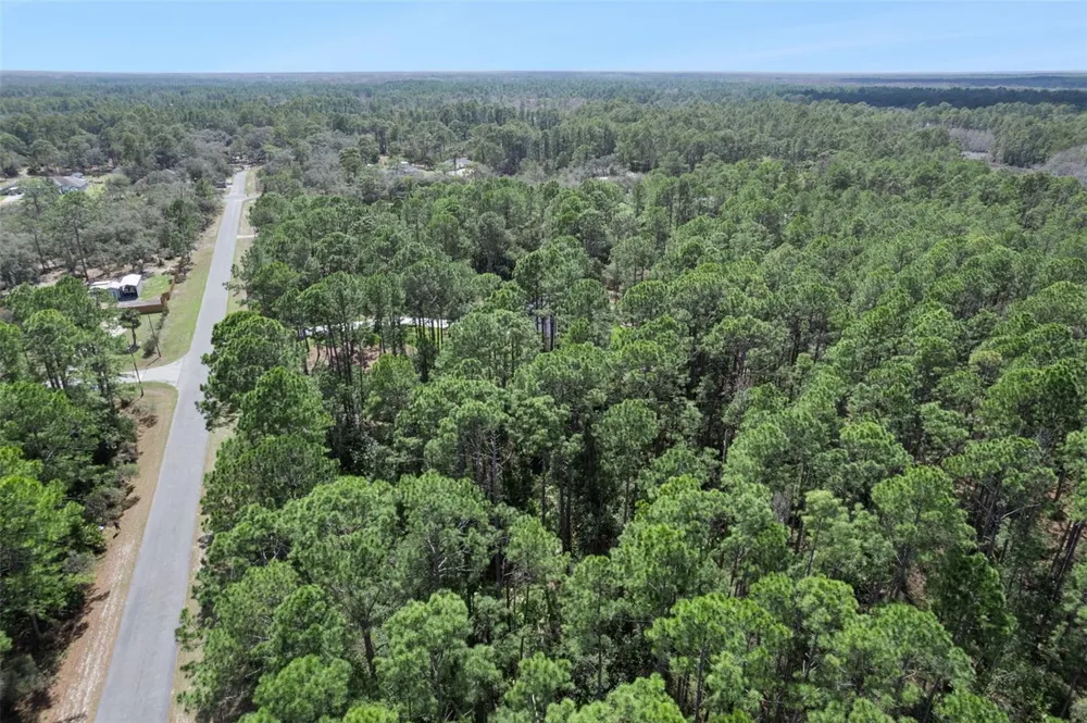 CASHEW STREET Eustis, FL 32736