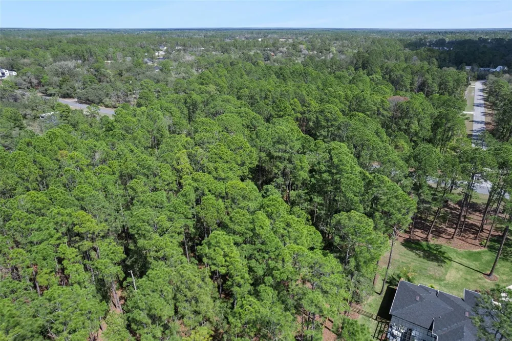 CASHEW STREET Eustis, FL 32736