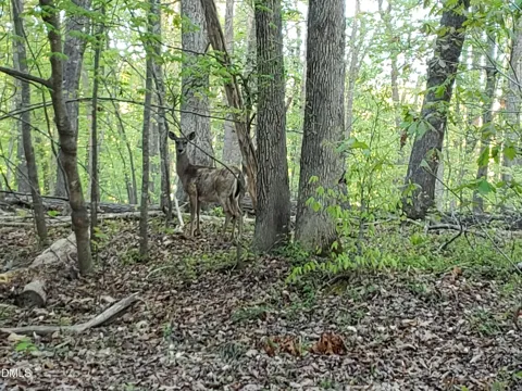 Lot 2 Deer Run Trail