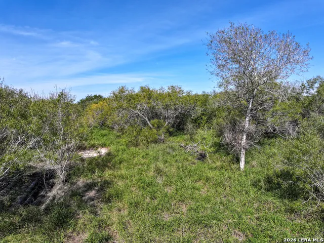 0 Fm 666 At County Road 1168 Mathis, TX 78368