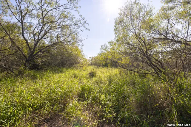 0 Fm 666 At County Road 1168 Mathis, TX 78368