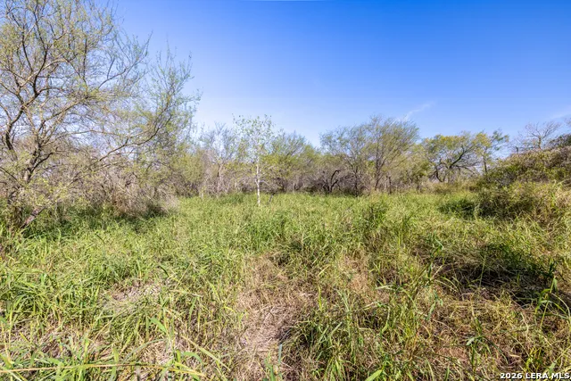 0 Fm 666 At County Road 1168 Mathis, TX 78368