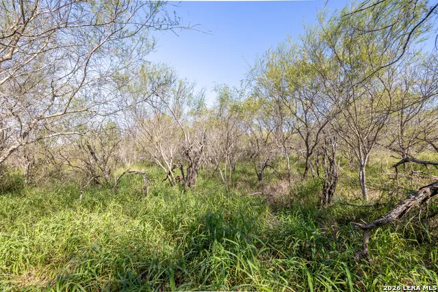 0 Fm 666 At County Road 1168 Mathis, TX 78368