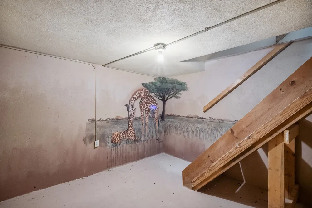 298 Townson Dublin, TX 76446