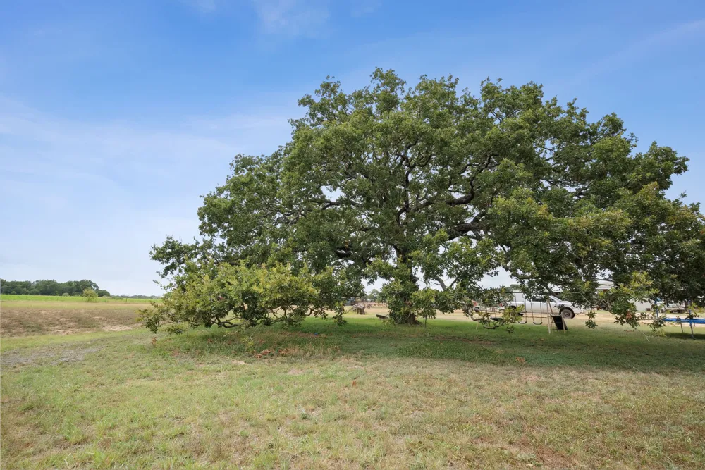 298 Townson Dublin, TX 76446