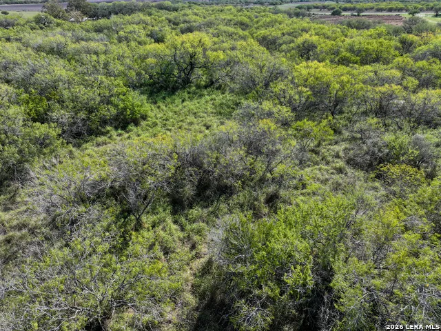 0 FM 666 At County Road 1168 Mathis, TX 78368
