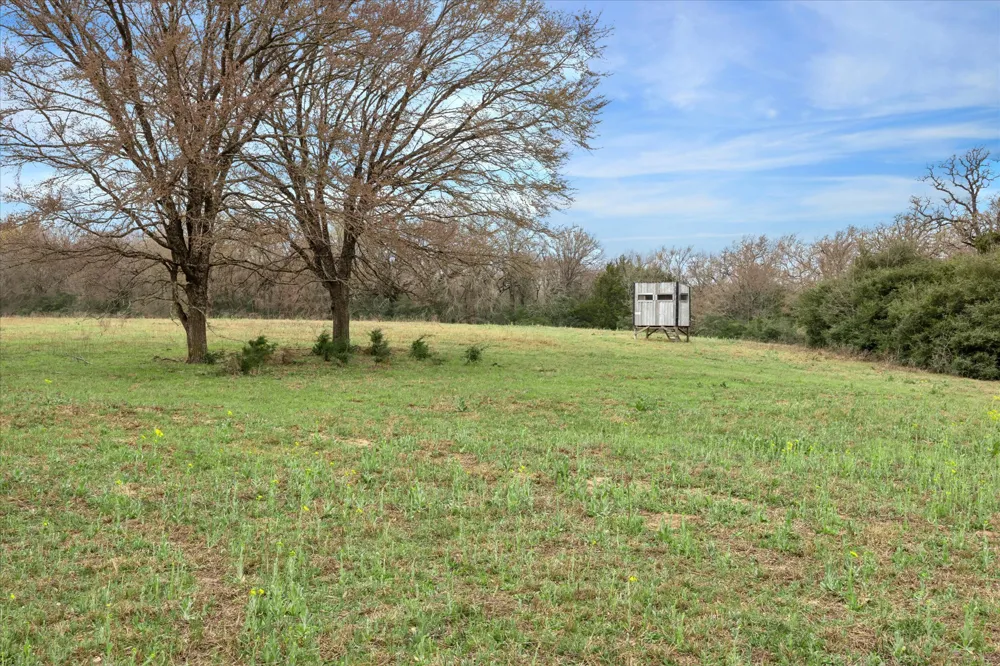 7281 County Road 358 Road Gause, TX 77836