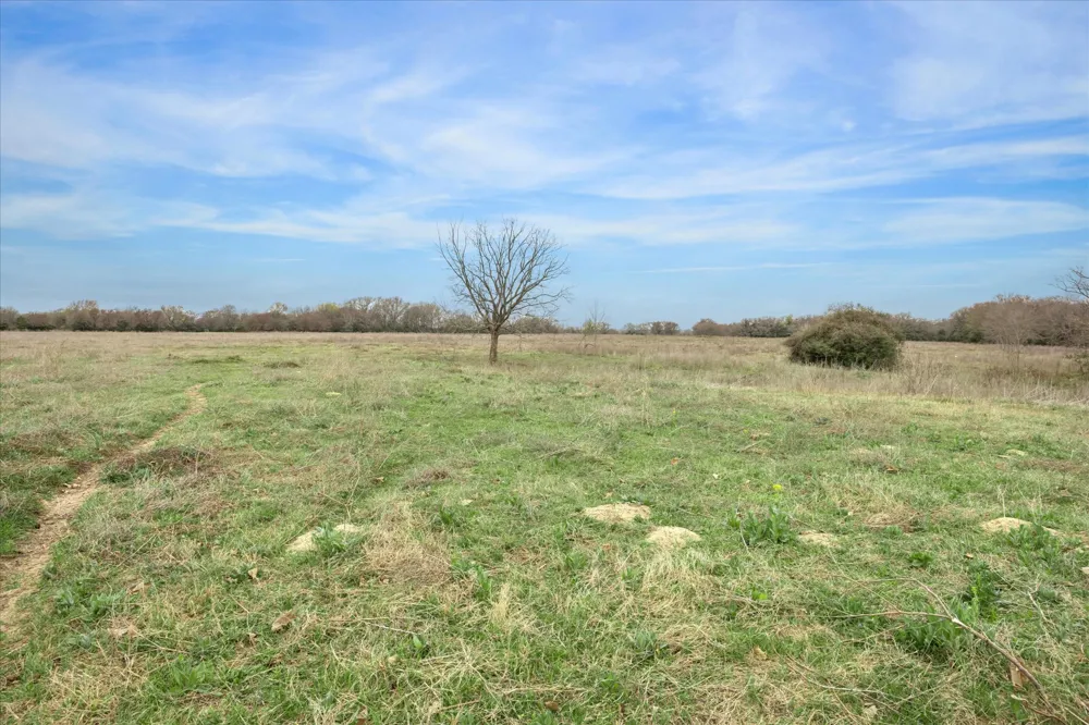 7281 County Road 358 Road Gause, TX 77836