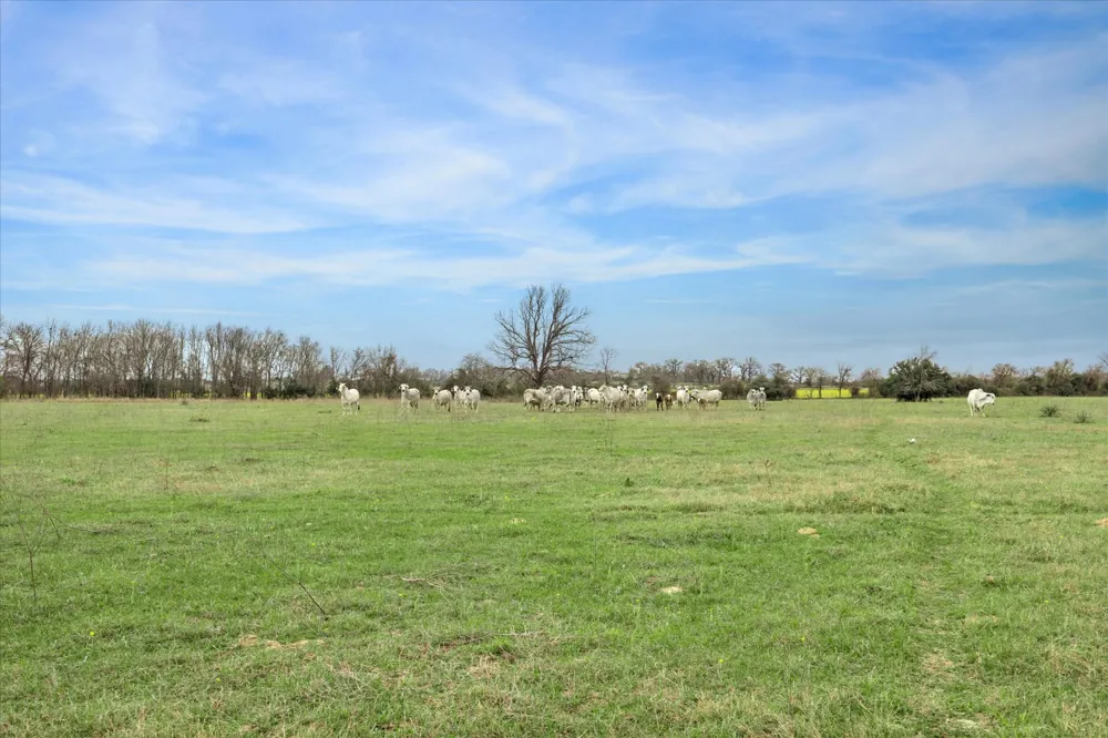 7281 County Road 358 Road Gause, TX 77836