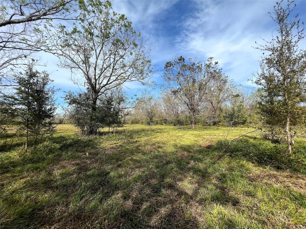 Hwy 35 E Van Vleck, TX 77482