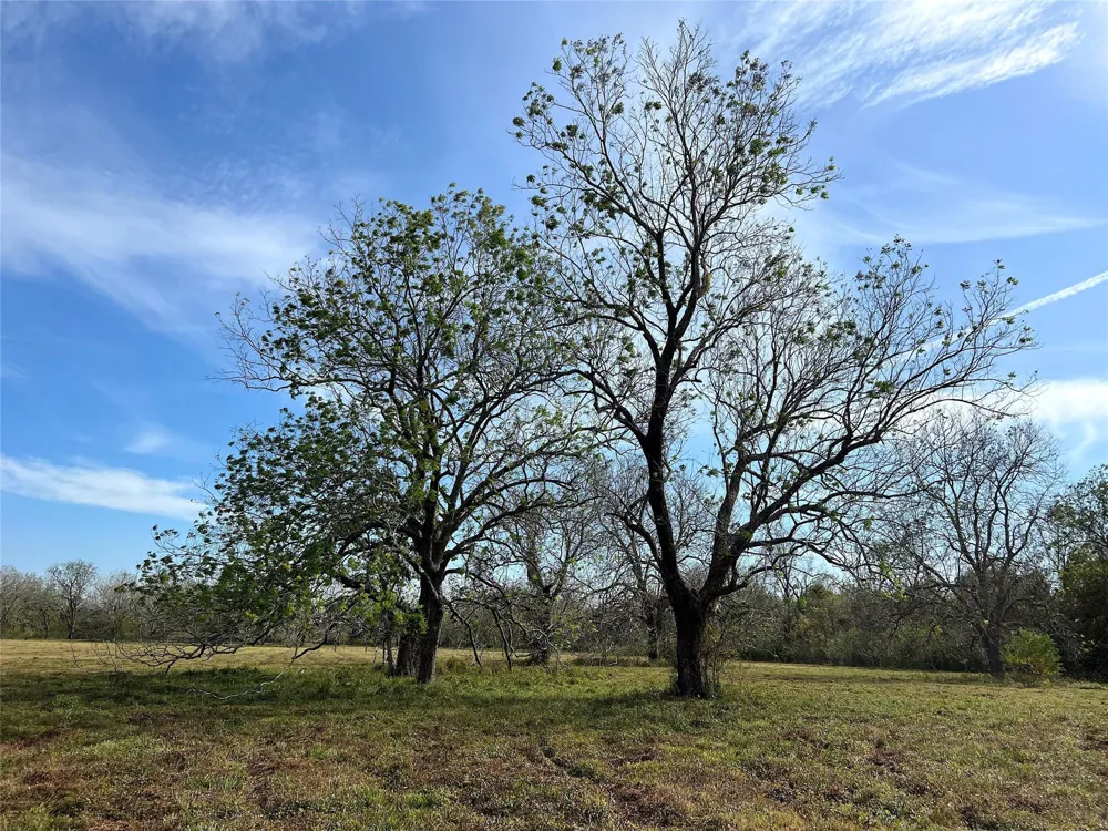Hwy 35 E Van Vleck, TX 77482