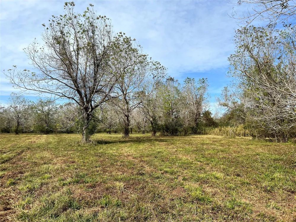 Hwy 35 E Van Vleck, TX 77482