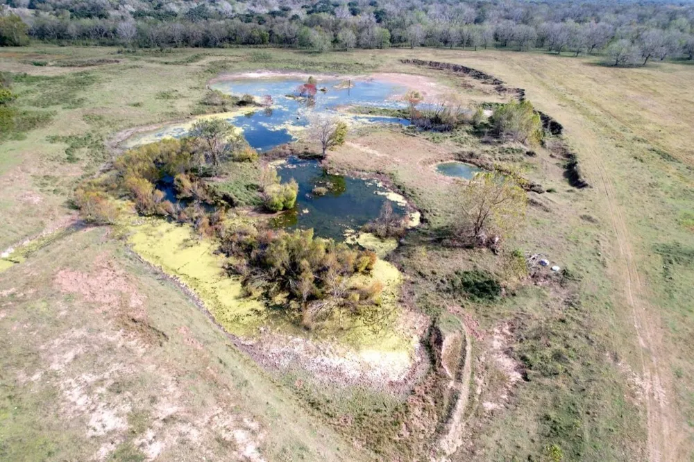 Hwy 35 E Van Vleck, TX 77482