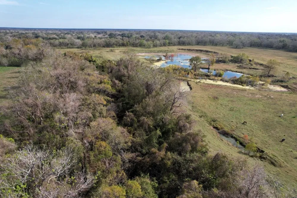 Hwy 35 E Van Vleck, TX 77482